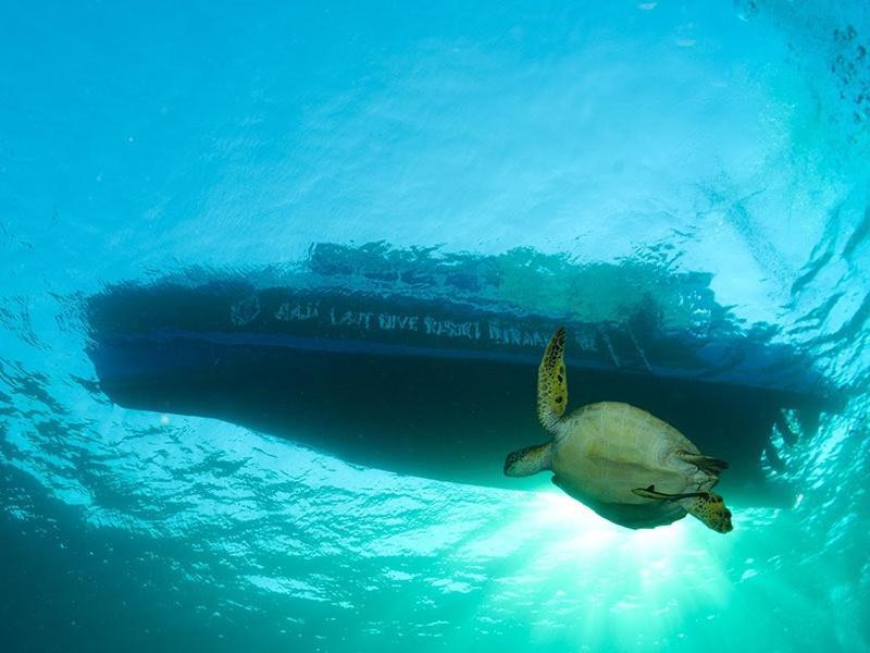 Raja Laut Dive Resort Bunaken Exterior foto